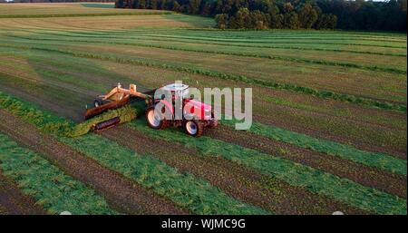 Vue aérienne de Massey Ferguson 1880 tracteur rouge de la tonte et la coupe du foin de luzerne au coucher du soleil sur le terrain à l'extérieur de Monroe, Wisconsin, États-Unis Banque D'Images