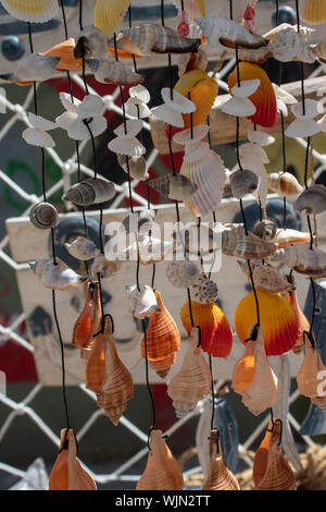 Collier de coquillages divers .Fermer shot Banque D'Images