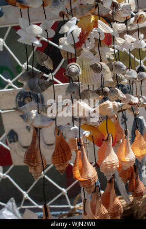 Collier de coquillages divers .Fermer shot Banque D'Images