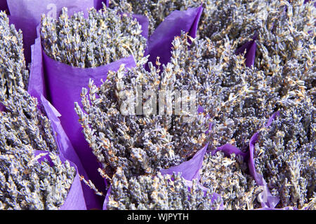 Close up sur des bouquets de fleurs de lavande séchées enveloppées dans du papier violet. Banque D'Images