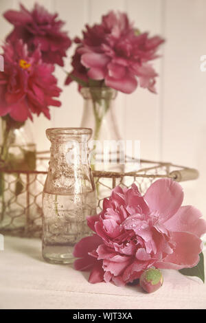 Belles fleurs de pivoine avec des bouteilles en verre sur la table Banque D'Images