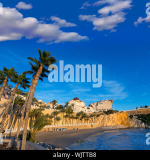 Benidorm Alicante Playa del Mal Pas plage au coucher du soleil en Espagne avec des palmiers Banque D'Images