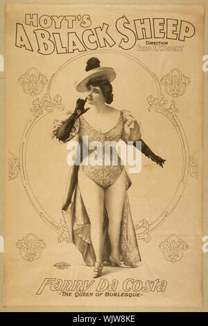 Hoyt un mouton noir Résumé : 1 gravure : lithographie ; noir et blanc 106 feuilles x 70 cm. (Format affiche) Banque D'Images