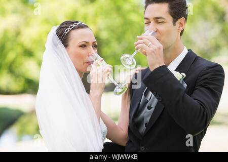 Senior couple drinking champagne in the park Banque D'Images