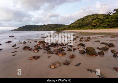 Rocky Point, Mossman dans le Queensland, en Australie. L'aube à Rocky Point au nord de Mossman en Far North Queensland tropical. Banque D'Images