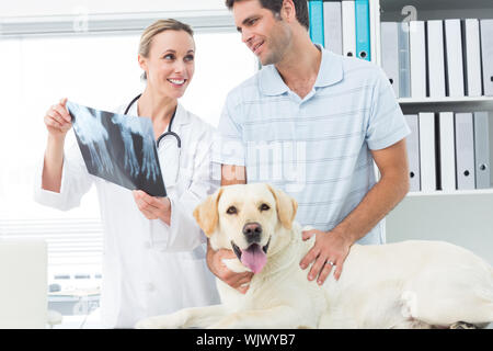 Femme vétérinaire et propriétaire de l'animal à discuter de Xray dog in clinic Banque D'Images