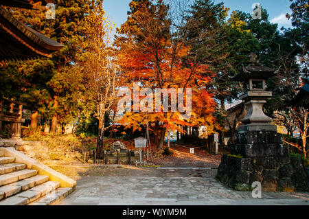 DEC 3, 2018 Yamagata, Japon - érable coloré en automne à Konponchudo salle principale entrée dans Yamadera Risshaku ji Banque D'Images