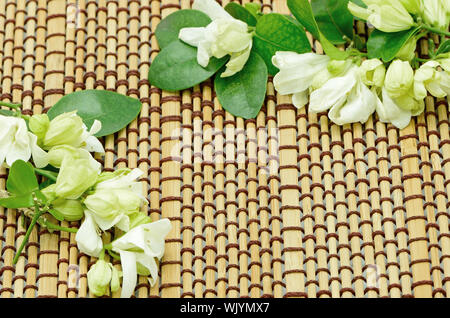 Fleur blanche, Orang Jessamine (Murraya paniculata) ou la Chine Fort Arbre, citronnier, Andaman décoré sur fond pasketwork bambou Banque D'Images