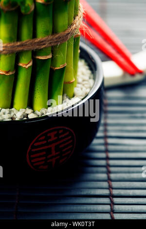 Baguettes et un lucky bamboo plant - table de style oriental concept servant Banque D'Images