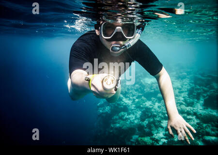 Snorkeler diving le long de la barrière de cerveau avec torche Banque D'Images