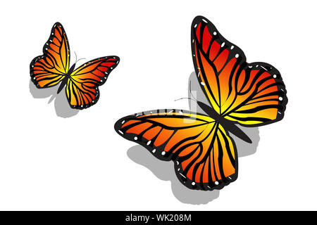 Illustration de paire de papillon sur fond isolé Banque D'Images