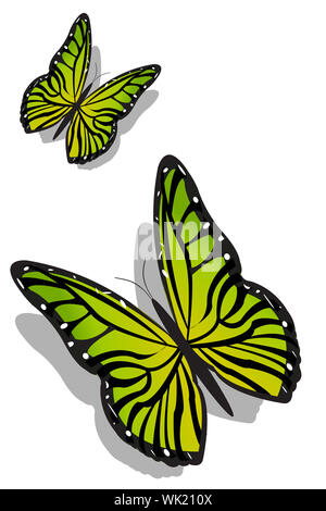 Illustration de paire de papillons colorés sur un fond isolé Banque D'Images