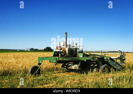 Beau paysage rural d'une vieille moissonneuse-batteuse rouillé est arrêté dans le champ d'orge mûrs à la mi-journée. Banque D'Images