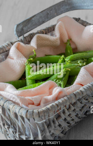 Des petits pois dans le pod sur un torchon rose pastel dans un panier en osier trug. Fond en bois gris Banque D'Images