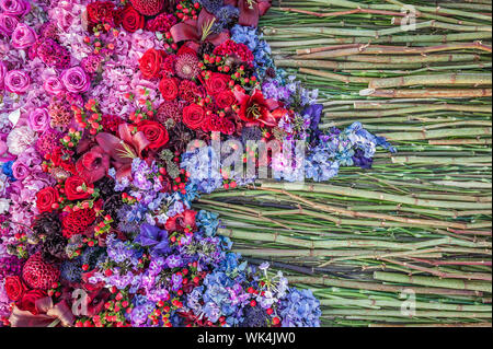 Fond de fleurs. Arrangement de fleurs de roses, œillets et les hortensias. Parterre, vue du dessus, copiez l'espace. Carte Gretting, carte postale. Banque D'Images