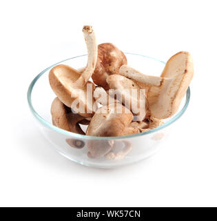 Champignons shiitake frais dans un bol en verre isolé sur fond blanc Banque D'Images