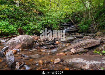 Paysage d'une petite cascade de Pixley Falls Banque D'Images