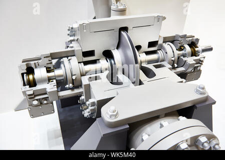 Support double pompe principale pour les produits pétroliers section transversale Banque D'Images