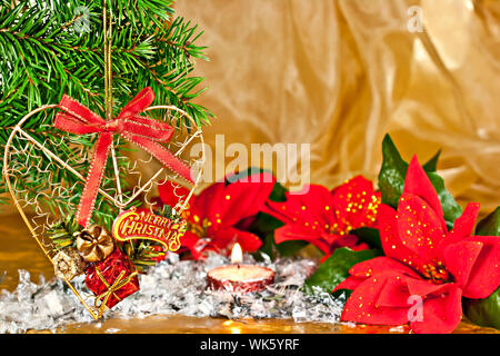 Composition de branches de sapin de Noël, avec le décor, Poinsettia sur fond d'or. Banque D'Images