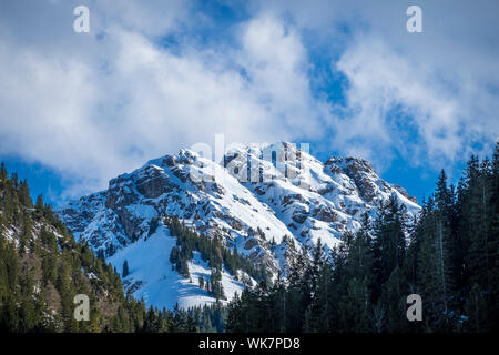 Im Leilachspitze Tannheimer Tal, Tirol, Österreich Banque D'Images