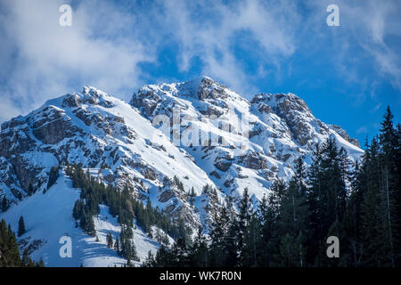 Im Leilachspitze Tannheimer Tal, Tirol, Österreich Banque D'Images