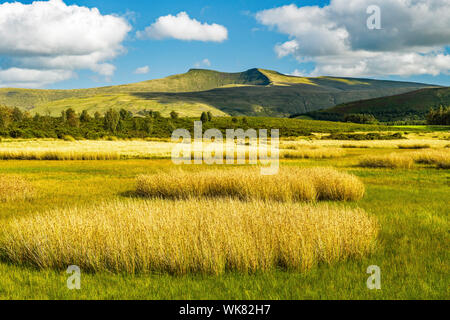 Pen Y Fan et du maïs de Mynydd Illtyd commun dans le parc national de Brecon Beacons Banque D'Images