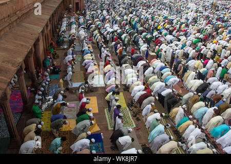 Grand groupe de personnes priant Namaz à masjid, Jama Masjid, Old Delhi, Inde Banque D'Images