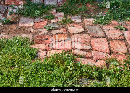 Route de vieilles briques recouvert d'herbe dans la cour d'un immeuble résidentiel de la texture d'arrière-plan Banque D'Images