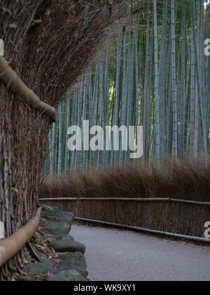 Japon - photo de Sean Sprague de Arashiyama, Kyoto. Bamboo Grove. Banque D'Images