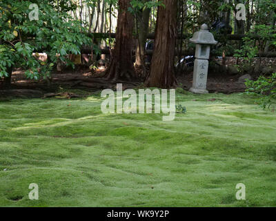 Japon - photo de Sean Sprague de Arashiyama, Kyoto. Jardin de mousse. Banque D'Images