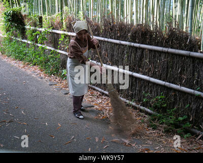 Japon - photo de Sean Sprague de Arashiyama, Kyoto. Woman sweeping feuilles. Banque D'Images