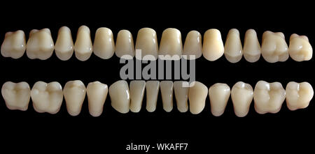 Libre des droits de dents, Dent Banque D'Images