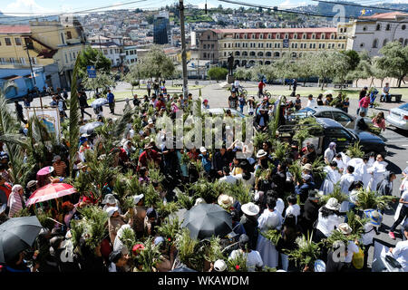 Les résidents de Quito en Équateur portent des bouquets de feuilles et des plantes comme ils défilent dans le centre historique de la ville le matin du Dimanche des Rameaux. L Banque D'Images