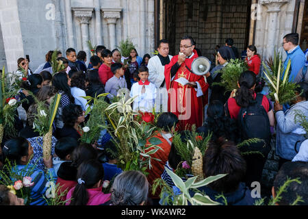 Les résidents de Quito en Équateur portent des bouquets de feuilles et des plantes comme ils défilent dans le centre historique de la ville le matin du Dimanche des Rameaux. L Banque D'Images