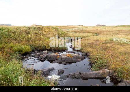 Brook s'écoule à L'Anse aux Meadows à Terre-Neuve et Labrador, Canada. Désigné lieu historique national et site du patrimoine mondial de l'UNESCO, il a été t Banque D'Images