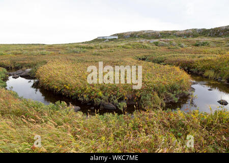 Brook s'écoule à L'Anse aux Meadows à Terre-Neuve et Labrador, Canada. Désigné lieu historique national et site du patrimoine mondial de l'UNESCO, il a été t Banque D'Images