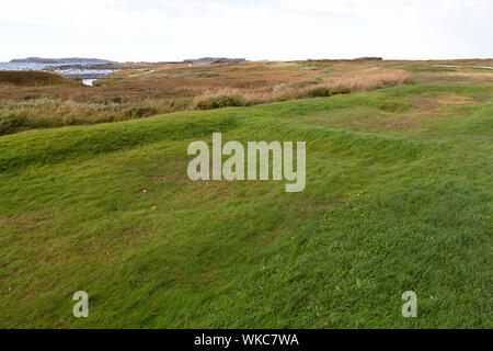 L'esquisse de bâtiments scandinaves à L'Anse aux Meadows à Terre-Neuve et Labrador, Canada. Banque D'Images