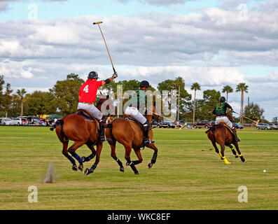 Polo match ; chevaux ; joueurs ; 2 équipes ; rapidité ; baguettes, mouvement ; action ; compétence ; sport ; la concurrence ; les champs, Sarasota Polo Club ; Lakew Banque D'Images