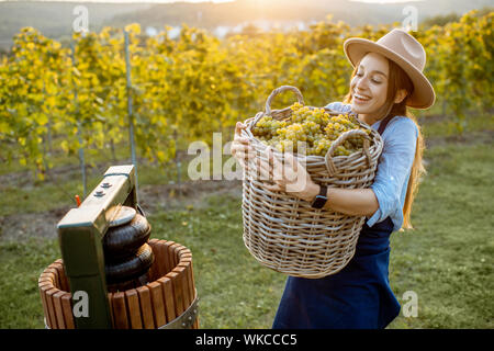 Portrait d'une jeune femme gaie avec panier rempli de raisins fraîchement ramassé près de la presse sur le vignoble Banque D'Images