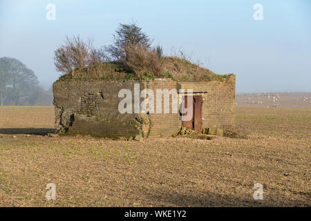 La Seconde Guerre mondiale à l'abandon 2 tambourin dans un champ près de Douvres,UK. Les buissons sont en croissance sur le toit. Banque D'Images