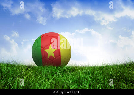 Au Cameroun Football Couleurs contre un champ d'herbe sous ciel bleu Banque D'Images