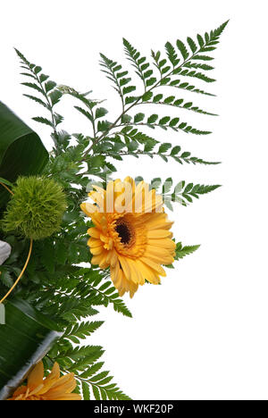 Détail de bouquet de fleurs sur fond blanc. Banque D'Images