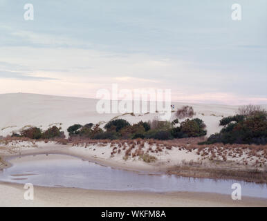 Jockey's Ridge, Nags Head, Caroline du Nord, est le plus grand système de dunes de sable naturelles dans l'Est des États-Unis Banque D'Images