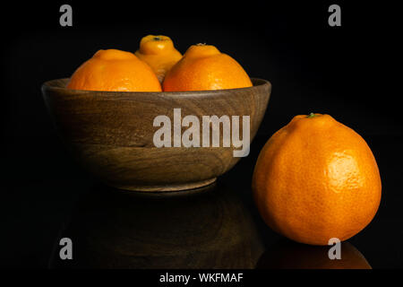 Groupe de quatre entiers et frais, tangelo minneola orange à big bol en bois isolé sur verre noir Banque D'Images