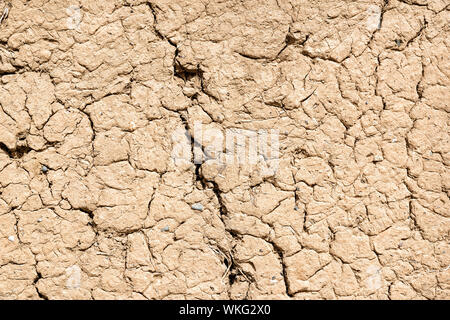 Image d'une partie d'un mur d'argile de Birkat al mud en Oman Banque D'Images