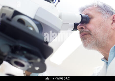 Scientifique en chef Senior microscoping dans le laboratoire de recherche en sciences de la vie ( diagnostics, biochimie, pharmacie, la génétique, la médecine légale, de la microbiologie, Banque D'Images