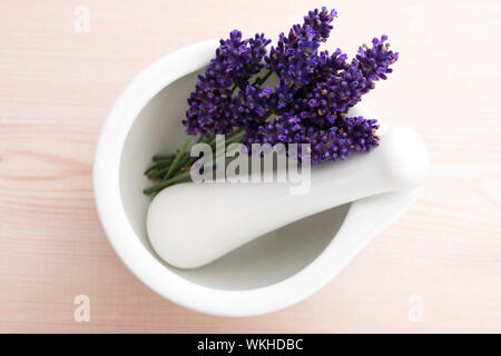 Des fleurs de lavande dans un mortier Banque D'Images