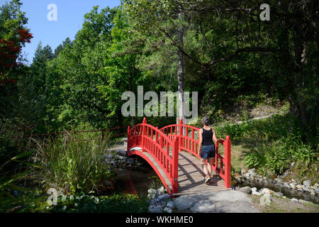 Femme ou touristiques en bois rouge traversant le pont japonais dans le jardin japonais de Kamaishi Musée Promenade de Digne-les-Bains Alpes de Haute Provence Provence Banque D'Images
