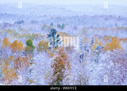 Au début de l'automne de neige, Sudbury, Ontario, Canada Banque D'Images