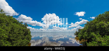 Réflexions nuage blanc dans la baie de Sarasota de Longboat Key dans le sud-ouest de la Floride Banque D'Images